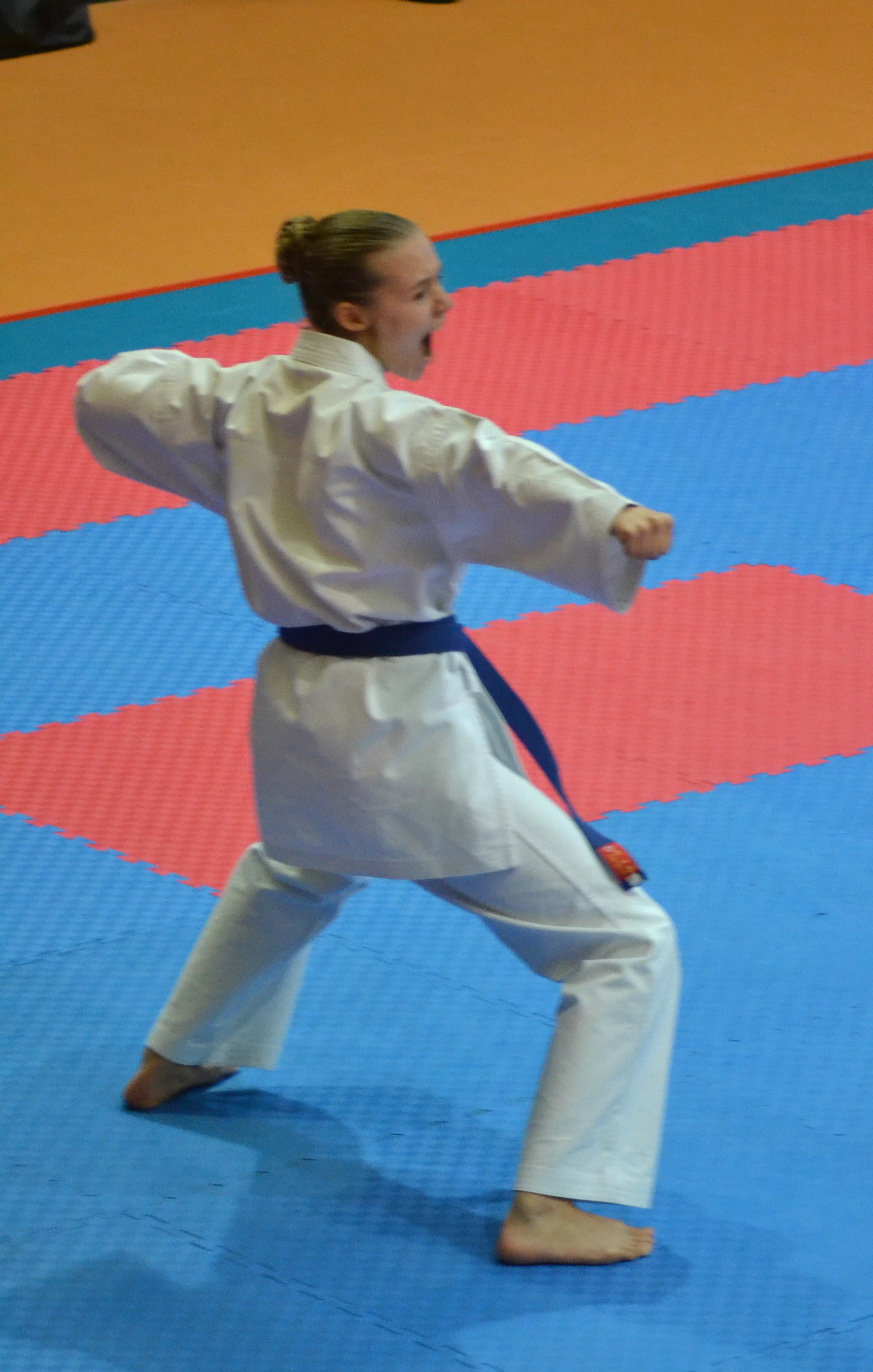 Bushido Karate Reichelsheim