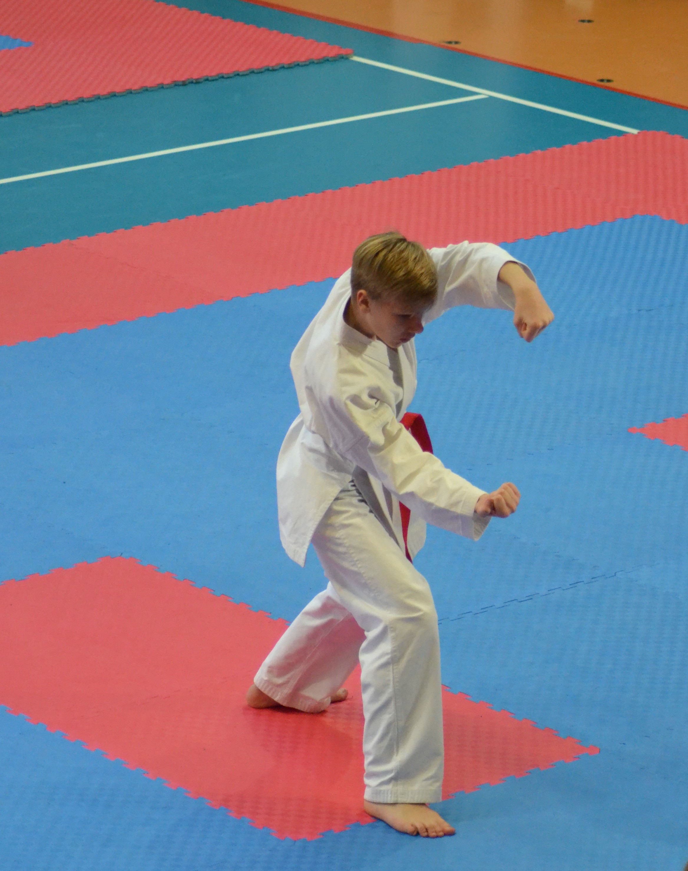 Bushido Karate Reichelsheim